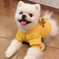 PETCIRCLE quần áo chó Teddy chó nhỏ mùa thu mèo con chó cưng quần áo truyền phát thư áo len - Quần áo & phụ kiện thú cưng áo cho cún