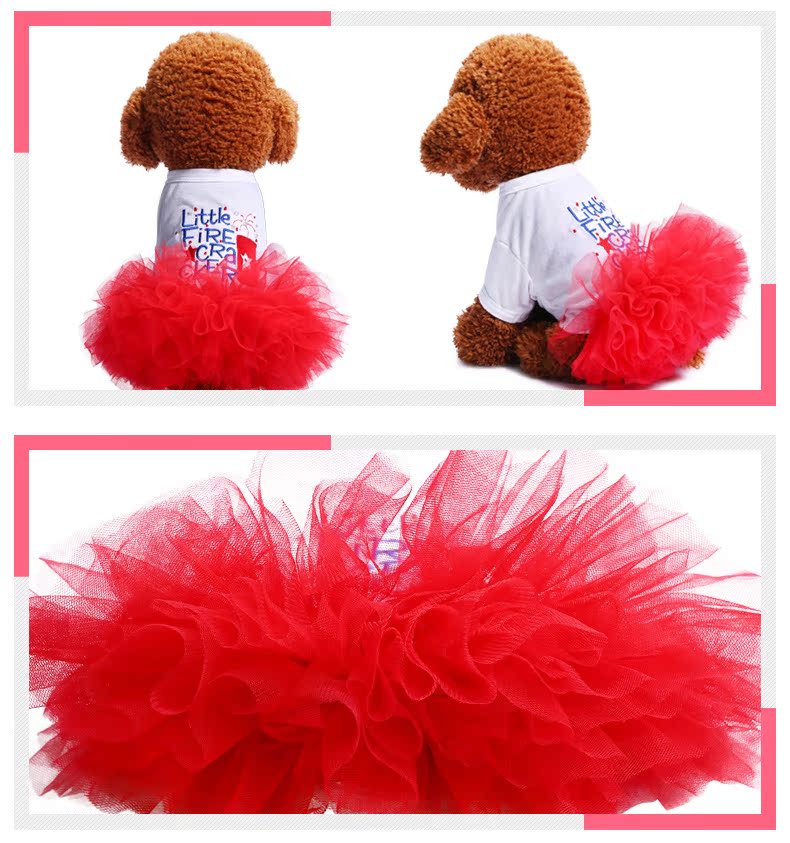 Teddy quần áo thú cưng Quần áo búp bê Bmeiji con chó con chó mèo quần áo dễ thương công chúa múa ba lê - Quần áo & phụ kiện thú cưng quần áo chó