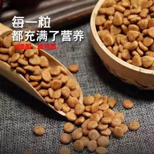 ອາຫານຫມາຊຸດໃຫຍ່ປະເພດທົ່ວໄປ 40 ປອນ ຫມາທັງຫມົດ ຫມາພື້ນເມືອງ ຫມາ stray ພິເສດ golden fur ຊາຍແດນ ຫມາ shepherd
