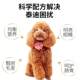 Corgi dog food ອາຫານຫມາພິເສດ 5 ປອນ, 10 ປອນ, 20 ປອນ, 40 ປອນ, ຄວາມງາມຂອງຜົມທົ່ວໄປ, ການກໍາຈັດຮອຍເປື້ອນ, ໄຂມັນແລະເສີມທາດການຊຽມ.