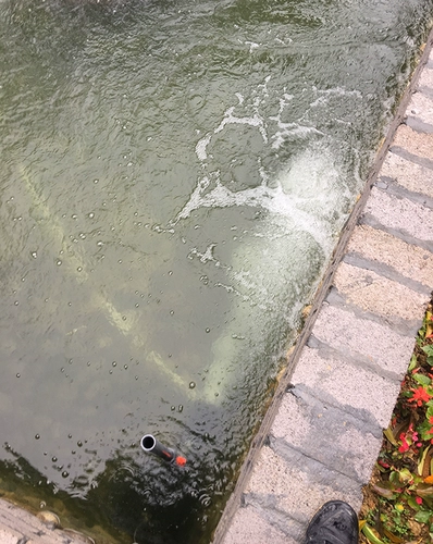 Экспозиция Хэли кислород рыб пруд Толкающий насосы рыбы пруды пруды аоксический насос Кухонный насос