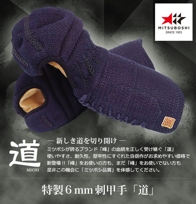 (Japan Direct Mail)Tokugawa Shoten Kendo (Higashiyama-do))