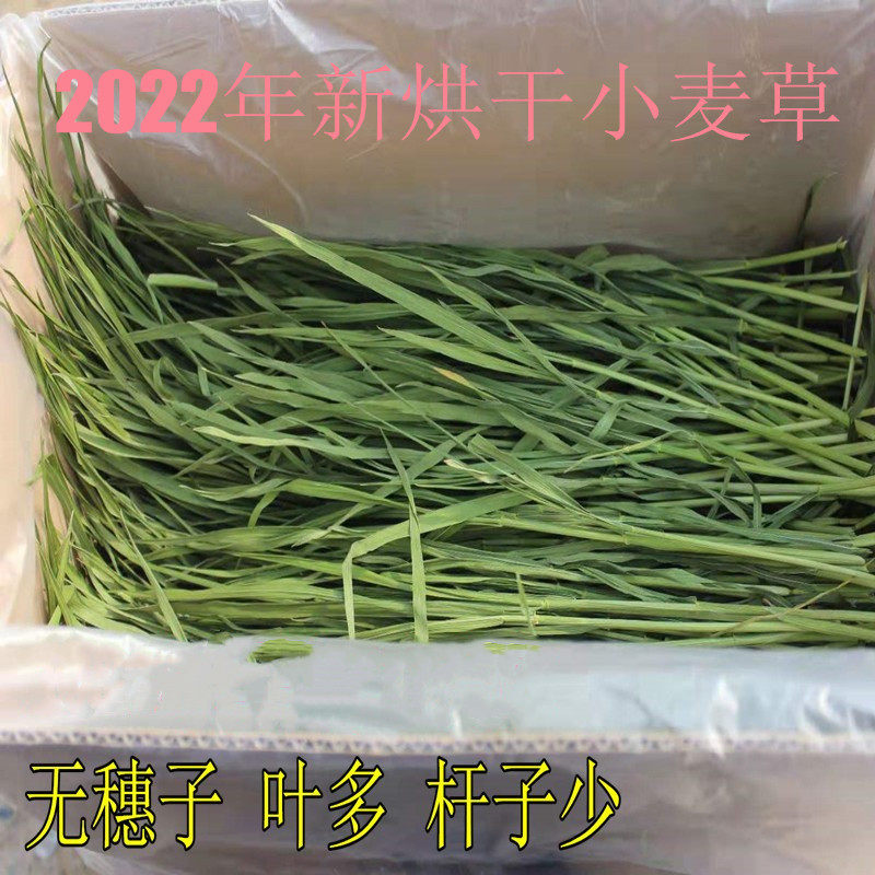 Drying wheat grass and rabbit dragon cat Dutch pig hair weighs 1000 grams for 22 years