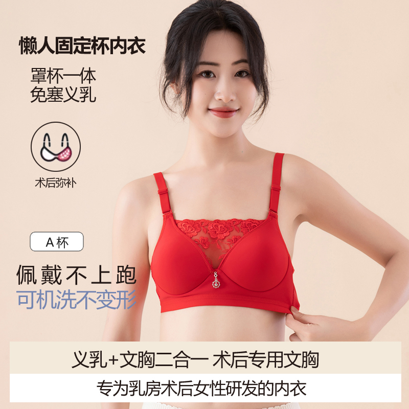 Prosthetic Breast Bra, Breast Bra, Postoperative Special Two-In-One Fake Breasts, Fake Breasts, Silicone Intimates, Latex Breast Removal Device, Breast