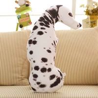 Пятнистая собака