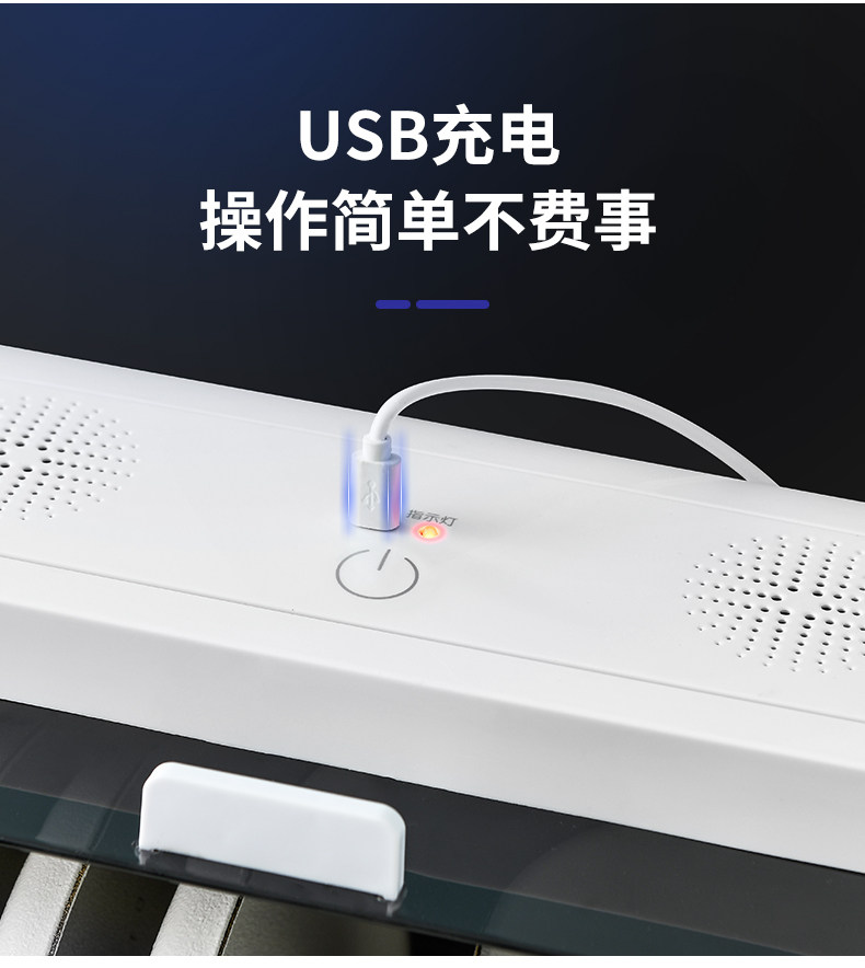 Сушилка 碗碟收纳层架小型消毒碗盘柜家用厨房置物架放碗盘沥水碗架碗筷收纳盒 King BW