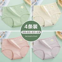 Светло -зеленый+цвет кожи+паста из бобов+светло -фиолетовый