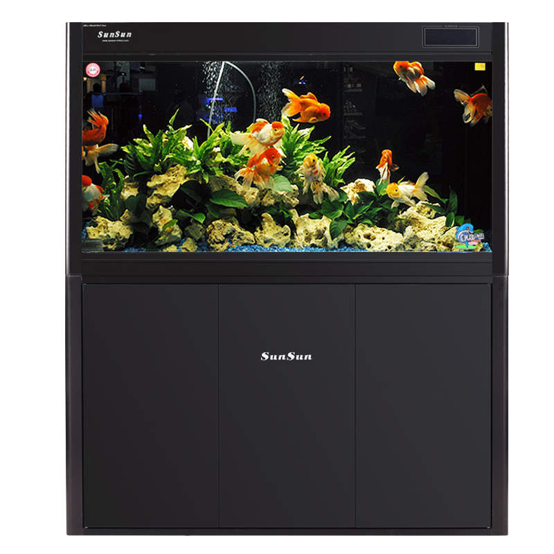 Dragon Fish Arowana Beauty Tropical Freshwater Fish, Freshwater Aquarium Fish, Fish Chart, Oscar