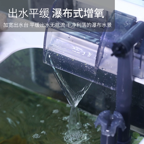 Аквариум, мундштук, оборудование, «три в одном», дайвинг