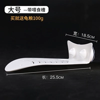 Новая черепаха Дана (рыбная форма) крупная зерна черепахи 100G