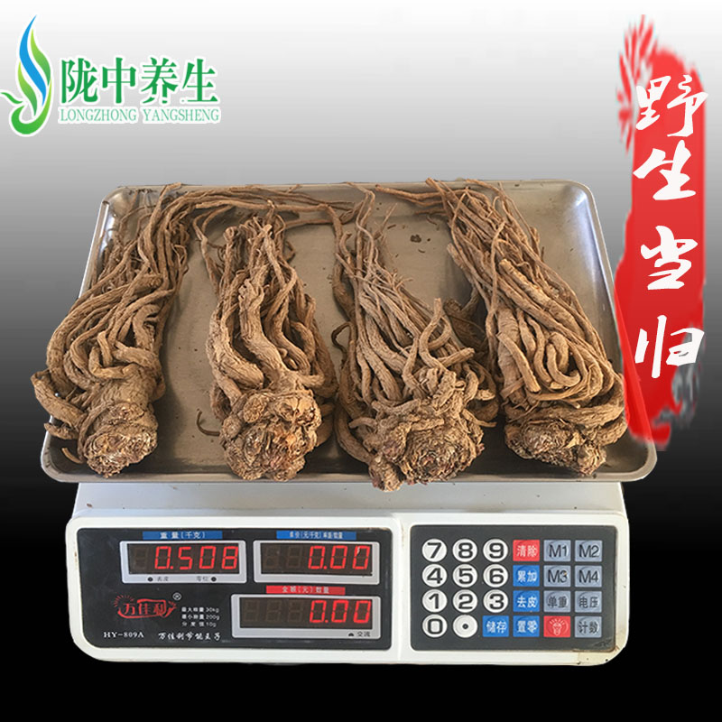 When the wild 500 grams of Gansu Min County returns to the Chinese medicine as the special pure wild