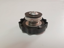 Small Ninja Water Tank 250 350CC Large Sports Car Treasure Sculpture Fan Etah Radiator Water Tank Lid Kettle Temperature-controlled