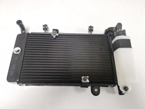 Small ninja water tank 350CC 250CC large sports car motorcycle Baocarved European leopard imitation Kawasaki Small Ninja Water tank