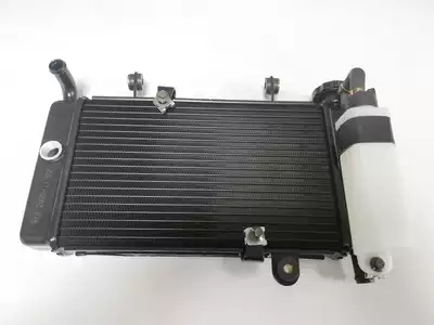 Little Ninja water tank 350CC 250CC big sports car locomotive treasure eopard imitation Kawasaki little Ninja water tank