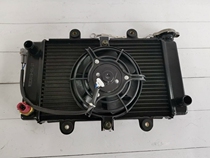 Domestically made treasure engraving 350-5A BMW Double R sports car accessories Private with fan water tank Water temperature instrumental radiators cooling