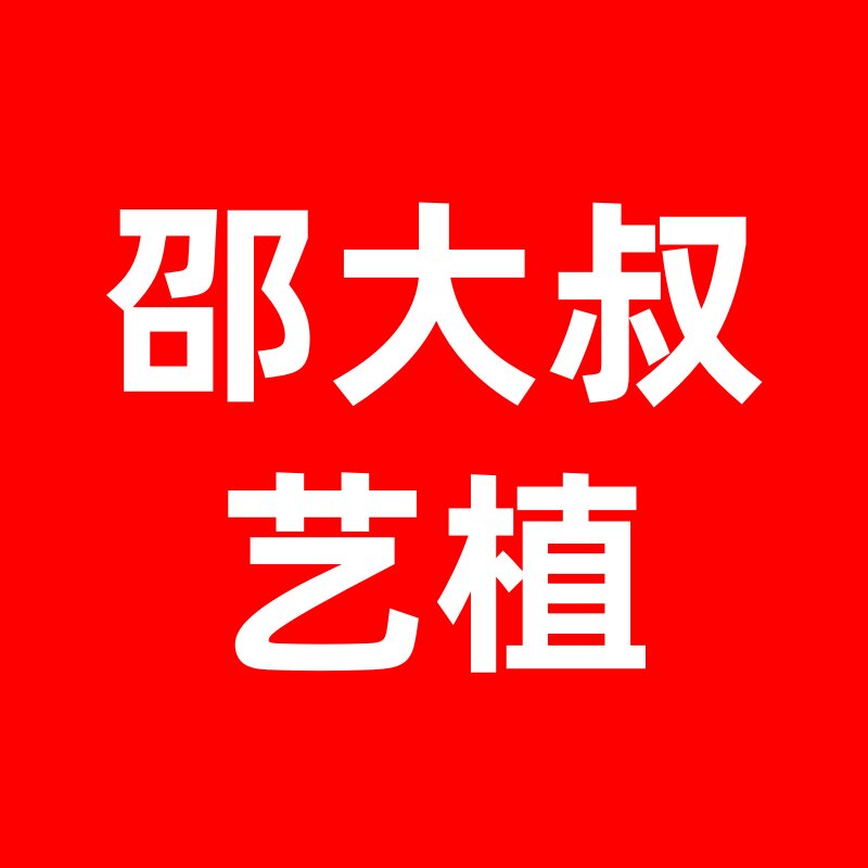 邵大叔艺植的LOGO