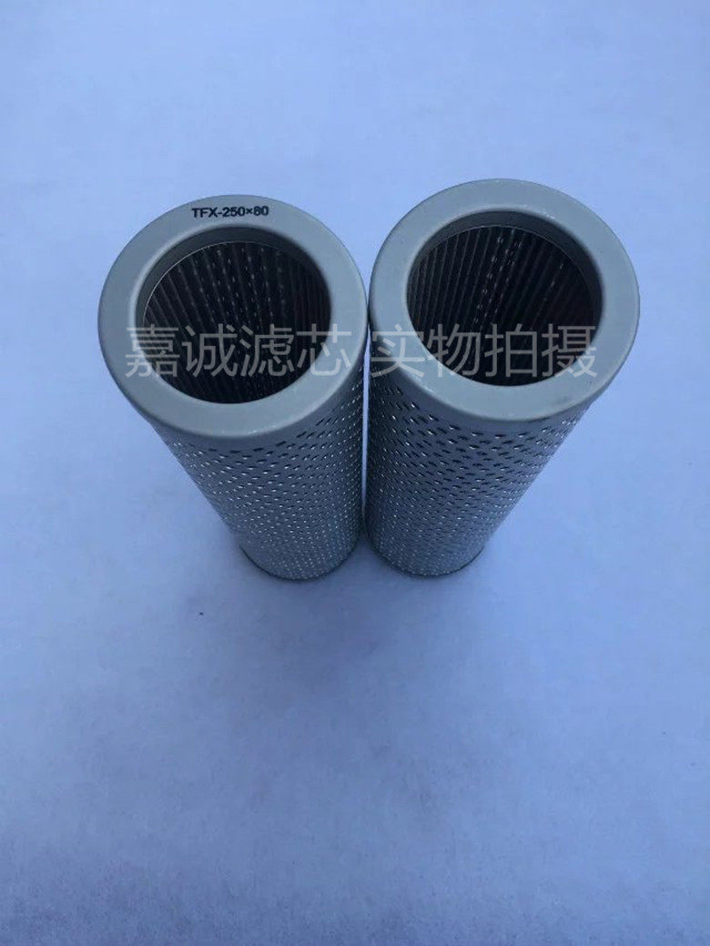 TFX-250X100 TFX-250X180 TFX-250X80 Filter element separation equipment stainless steel