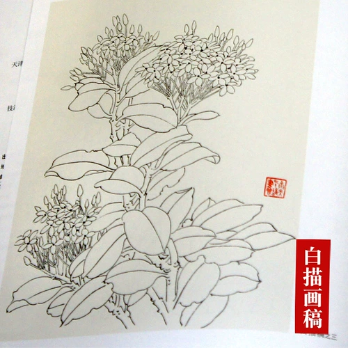 Тщательный контур цветка и метод рисования без костей. Интерпретация методов живописи известных китайских художников. Составлено и проиллюстрировано Ван Чэнтянем. Тяньцзиньское общество живописцев Янлюцин. Традиционные китайские техники рисования. Базовый шаблон для начинающих рисовать. Демонстрация практических шагов копирования. Подлинная книга.