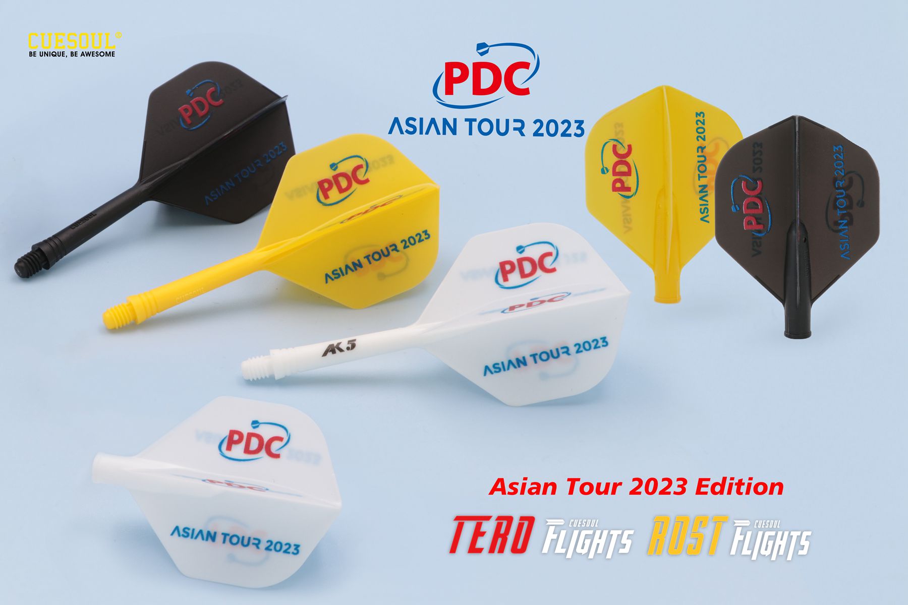 CUESOUL PDC subtour Special Edition Competition Class Darts Accessories AK5 Integrated Tail leaf AK4 spring wing-Taobao