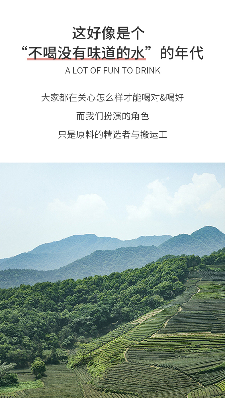 优禾生活 蜜桃乌龙茶 3g*10包 图3