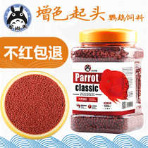 Blood parrot red head Tropical Fish Fish Fish Fish Fish fish food