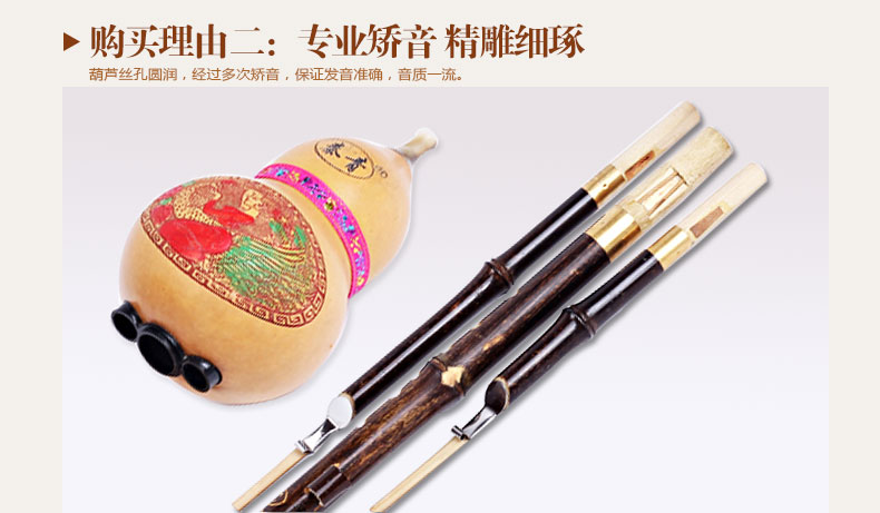 Qin Qing cucurbit c t D điều chỉnh Một giai điệu cho người mới bắt đầu nhập nhạc cụ không cơ bản cho học sinh tiểu học cơ bản - Nhạc cụ dân tộc sáo điện tử