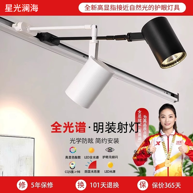Wall-Mounted Track Spotlight for Commercial Use with Extended Rod, Surface-Mounted Lighting for Paintings, Exhibition Hall Hanging Rod, Long-Arm Track Light for Trade Shows