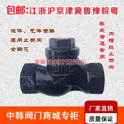 H11T-16 Lifting Horizontal Check Valve Cast Iron Internal Thread Valve DN25 40 50 6 Min 1 Inch