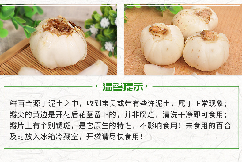 【陇萃堂】兰州新鲜百合三头皇500g
