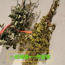 Putian egg grass Dragon Boat Festival dark fragrance bathing boiled eggs turn yellow vanilla family bathing five-day festival grass