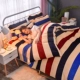 Winter nhung san hô quilt một gia đình bốn nữ lông cừu sang trọng tấm flannel ấm dày trên chăn giường - Bộ đồ giường bốn mảnh