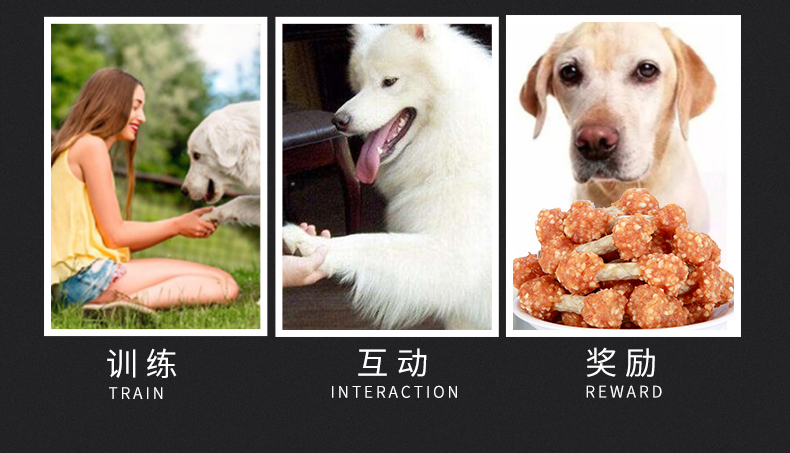 Chó ăn vặt quả tạ mol gậy canxi gà sạch răng chó nhỏ Teddy puppy Golden Retriever cắn chó nhai - Đồ ăn vặt cho chó cám cho chó