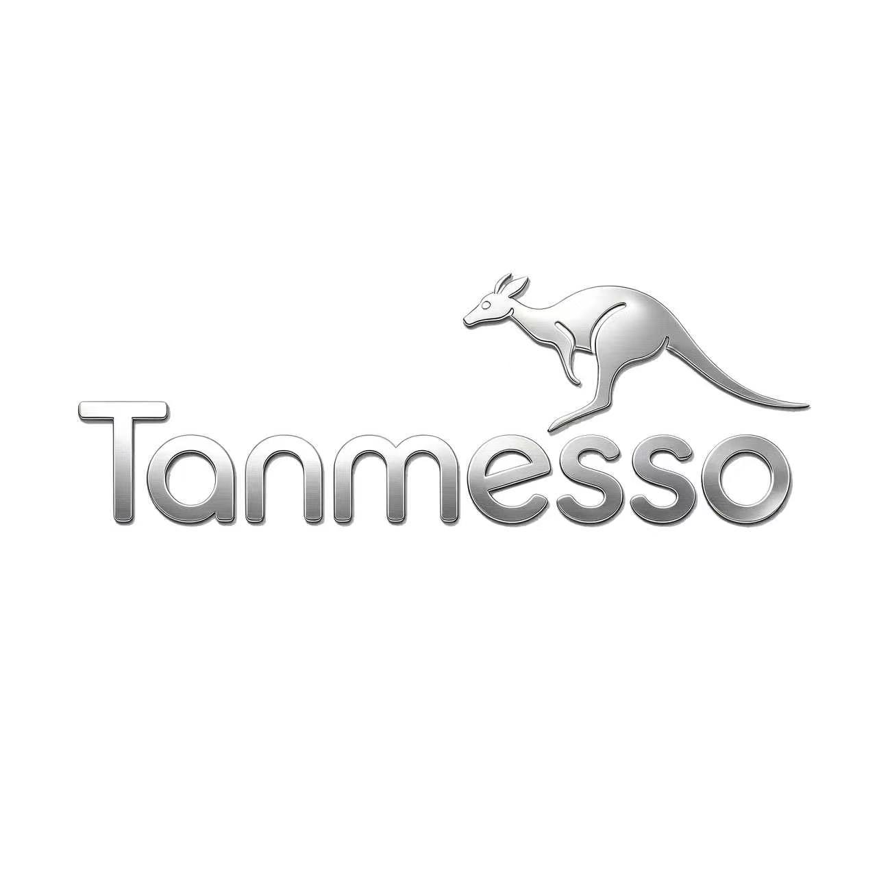 tanmesso旗舰店的LOGO