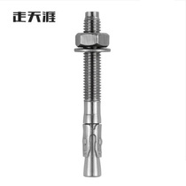 Walking Tianya Rocky Climbing Nail Expansion Nail Hanging Sheet 304 Stainless Steel Rock Point Probe Hole Fixed Anchorage Point