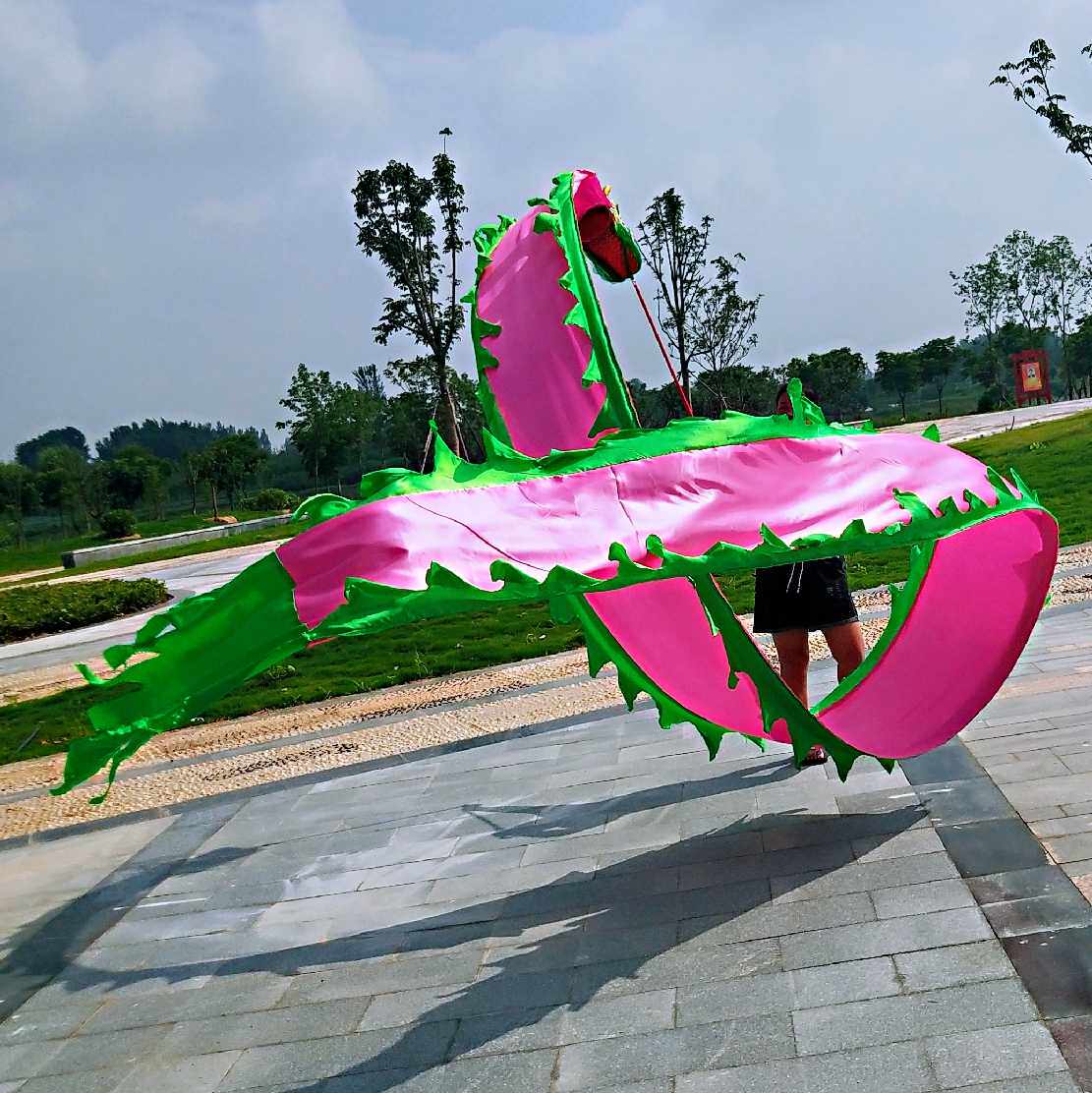[USD 80.24] Square Dance Fitness Dragon Sports Dragon Flying Dragon ...
