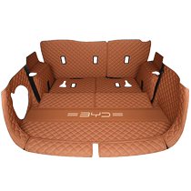 Convient pour BYD Don tronc coussin plein air Don dmi Seven 7 Glory Champions Edition Dmp Ev Tailbox Mat