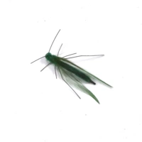 1 сменная голова зеленого кузнечика