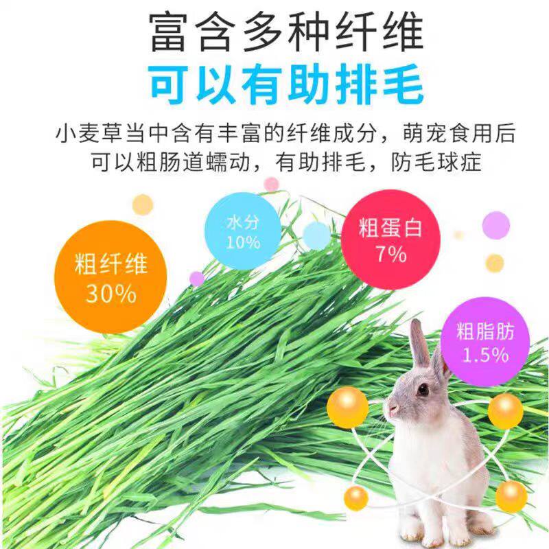🌿 宠物兔的完美食谱!兔斯基烘干小麦草1000g,健康营养🌿-兔兔干草-淘宝好物网