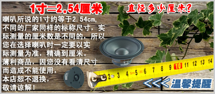 1369025_1541525270002_2 Copy