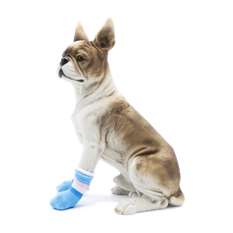 носки для собак. носочки для собак для прогулки. носки для собак на собаке. носочки для собак.