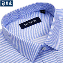 Yagal Shirt Male Long Sleeve Striped High Support Cotton Middle-aged Mens Clothing Business Mulberry Silk Blue High-end Men Lining Clothing