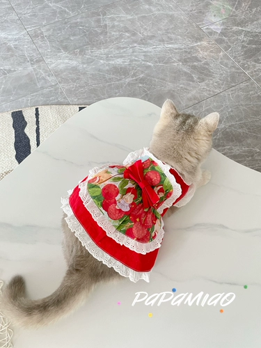 Наряд для горничной кружев