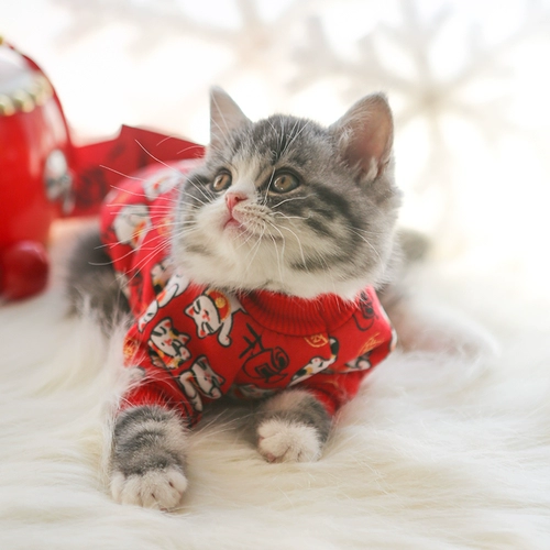 Праздничнная флисовая толстовка, красная удерживающая тепло куртка, на удачу