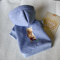 Серый застенчивый медведь соединяет шляпу свитера