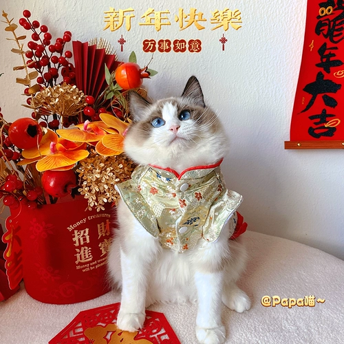 Осенне-зимний костюм с кистями для собак, костюм Тан, платье, кошка, двуногая новогодняя юбка, одежда для домашних животных