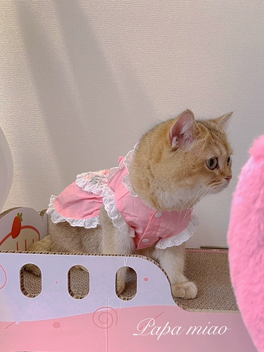 Наряд для горничной кружев