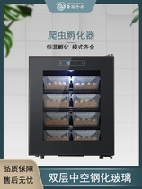 Hi-Play Pet Incubator Incubator Intelligent Temperature Control Semiconductor Low Power Consumption Ultra-Quiet Household Heating and Refrigeration