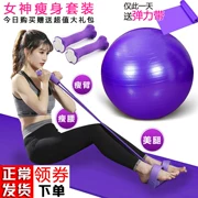 Thiết bị nữ tập thể dục mat tập thể dục yoga tập thể dục dây thừng đầy bụng tập yoga mat kéo thiết bị thiết bị mới - Yoga