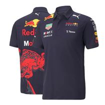 2023f1 combinaison de course offre spéciale Red Bull Racing t-shirt à manches courtes Polo été sport pour hommes séchage rapide style Verstappen