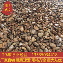 Tonnage Stone Guangdong River Pebble Stream Stones Natural Goose Pebble Building View Moments Ago Substation Filtered Pebble Paving Surface